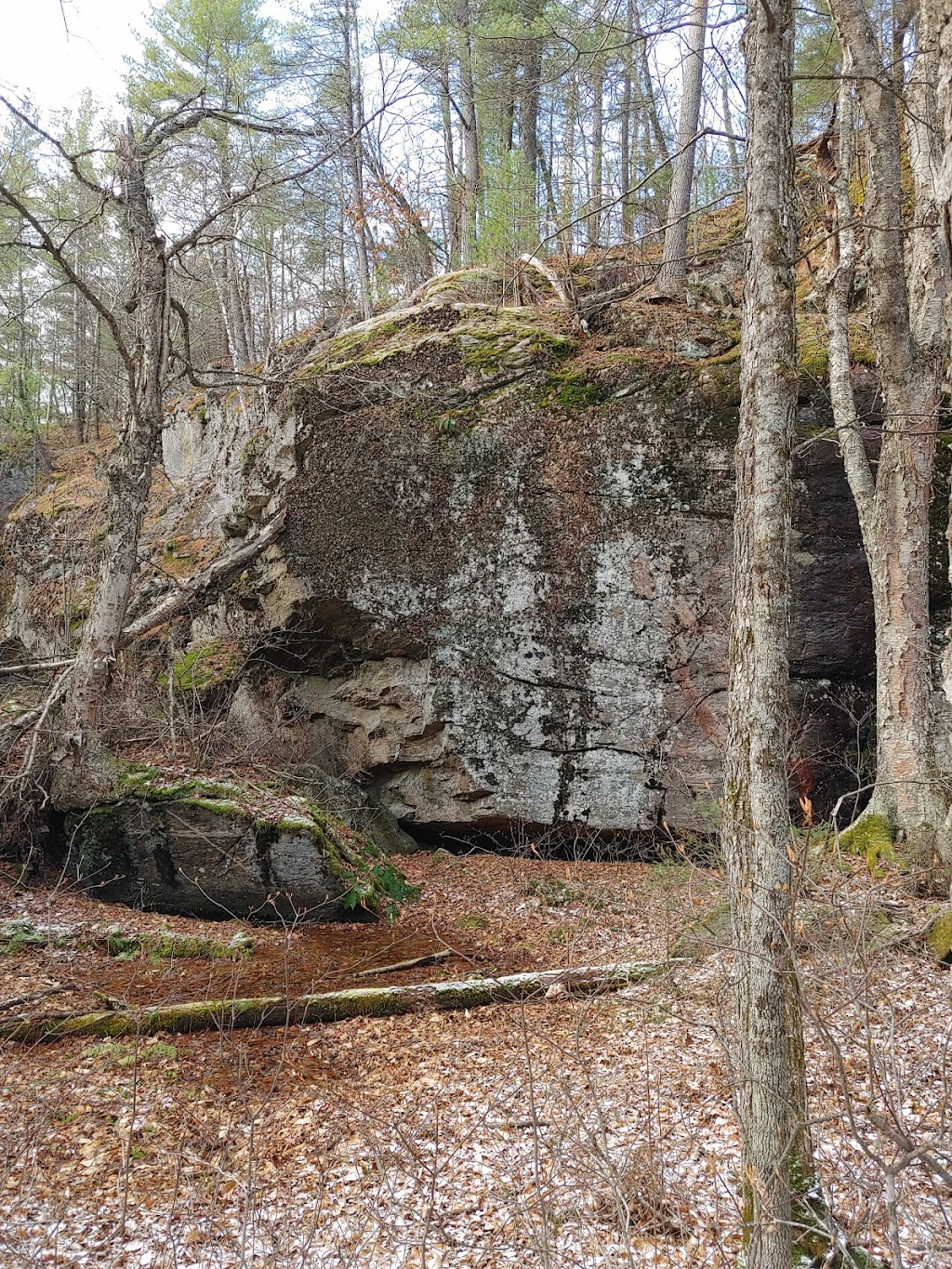 Rocher-à-lOiseau Trail | Chem. Schyan, Sheenboro, QC J0X 2Z0, Canada | Phone: (800) 665-5217