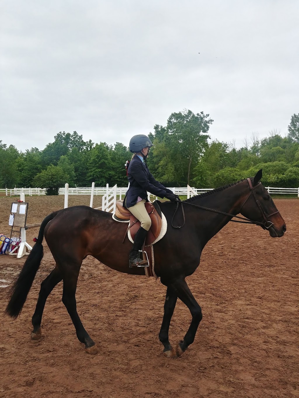 Red Ribbon Stables | 896 RR #4, Concession 6 Rd, Niagara-on-the-Lake, ON L0S 1J0, Canada | Phone: (905) 687-1669