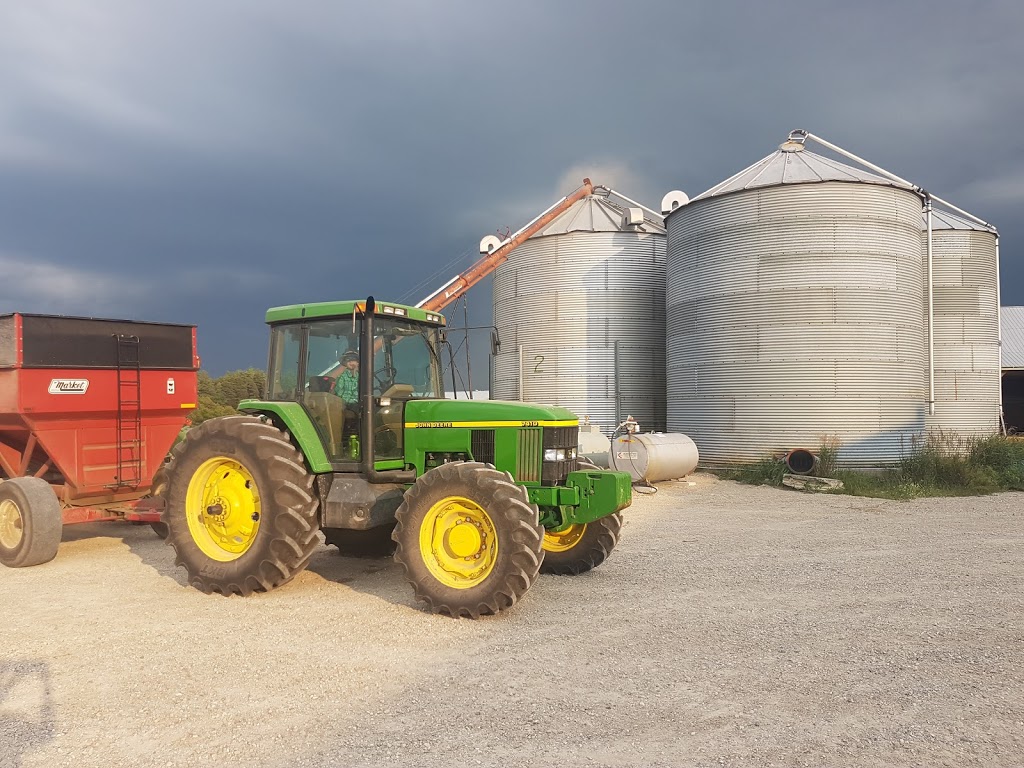 Cedar Valley Farm Supplies | 980 Hawkesville Rd, St. Jacobs, ON N0B 2N0, Canada | Phone: (519) 699-6214