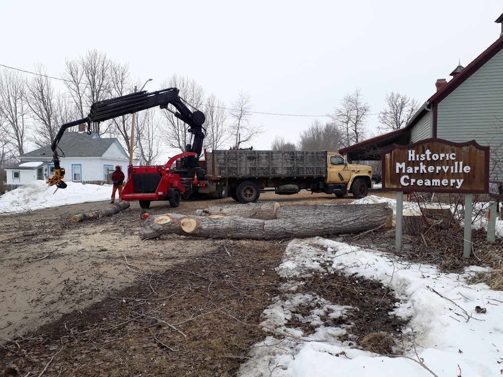 Three Peaks Crane | 4115 78 St Crescent, Red Deer, AB T4P 3E3, Canada | Phone: (403) 971-0258