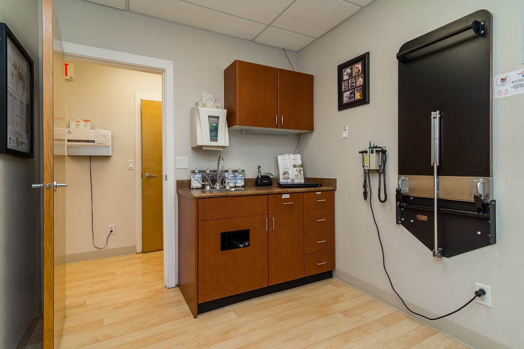 Brookswood Veterinary Hospital | 4059 200 St, Langley City, BC V3A 1K8, Canada | Phone: (604) 534-4174