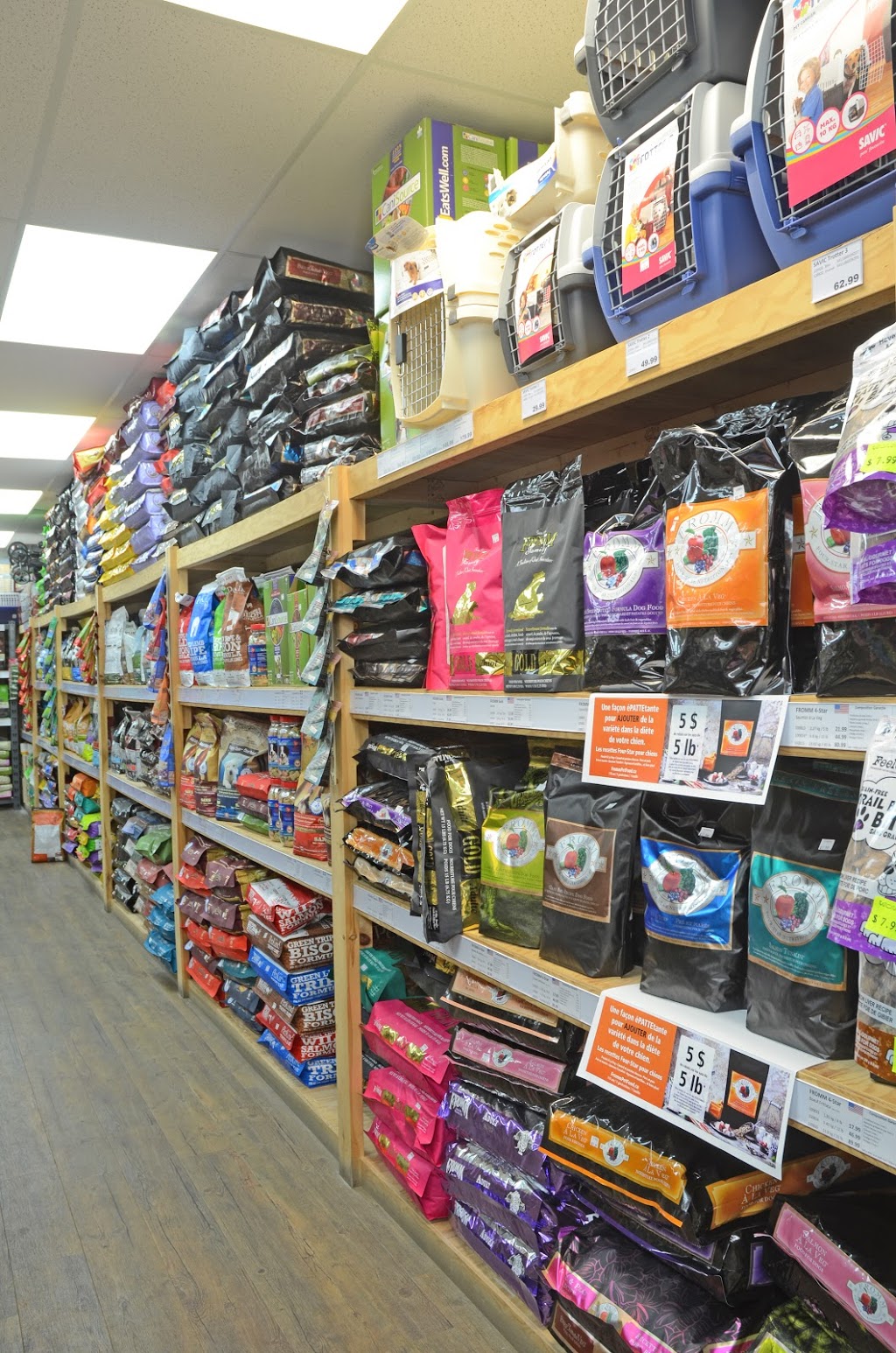 Paws and Claws | 3683 Rue Hochelaga, Montréal, QC H1W 1J2, Canada | Phone: (514) 419-1414
