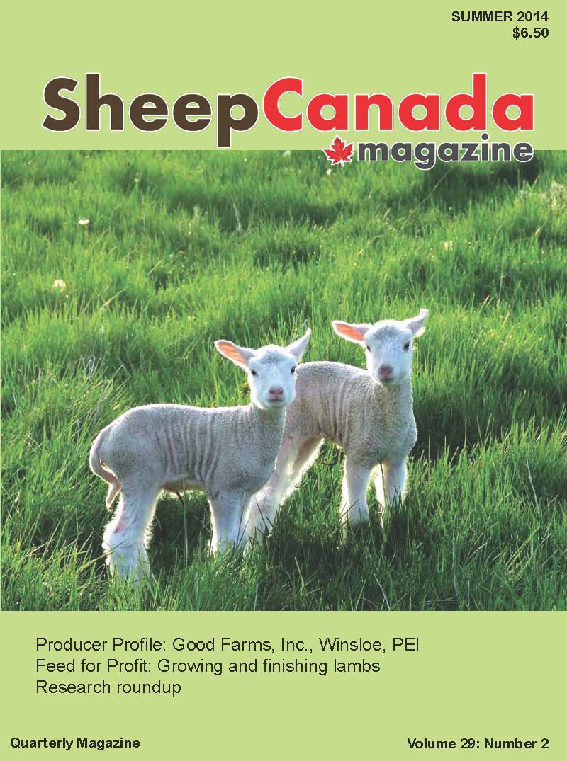 Sheep Canada Magazine | Box 1041, Ste Anne, MB R5H 1C1, Canada | Phone: (204) 371-2959