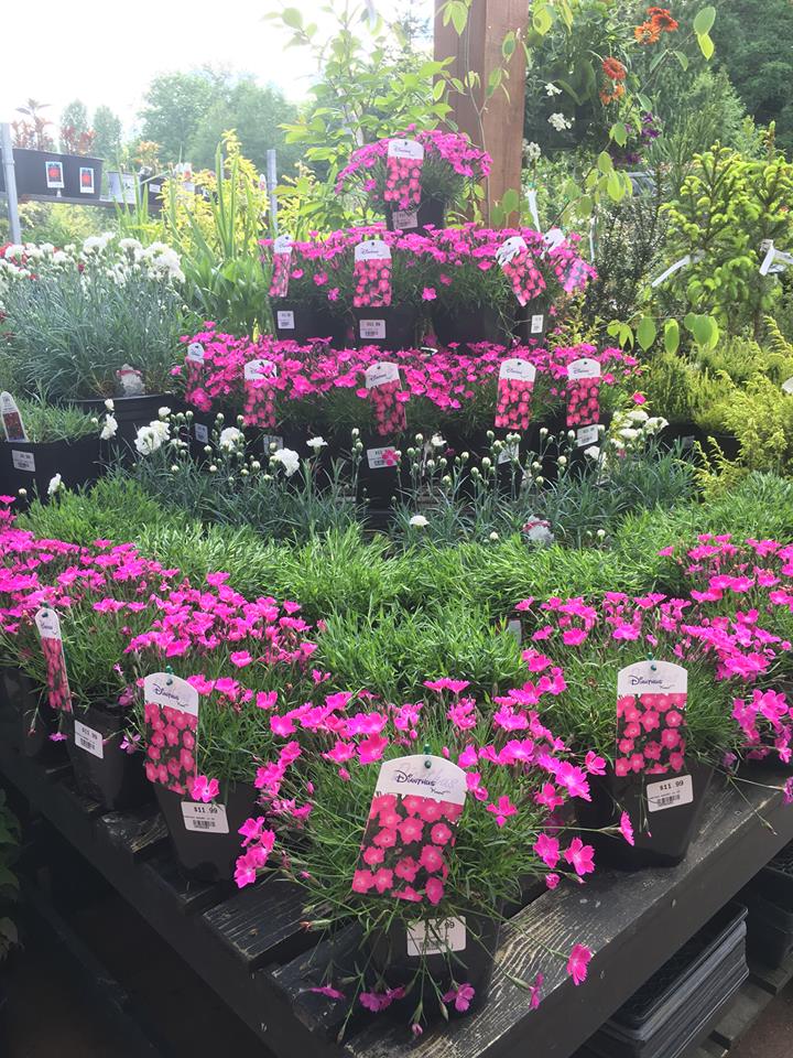B&K Garden & Landscape Supply | 629 Pratt Rd, Gibsons, BC V0N 1V4, Canada | Phone: (604) 886-0924
