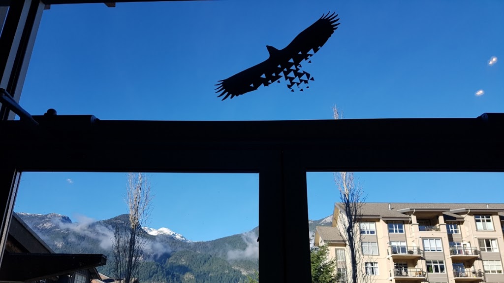 Eaglewind Health | 38220 Eaglewind Blvd, Squamish, BC V8B 0T2, Canada | Phone: (604) 390-0303