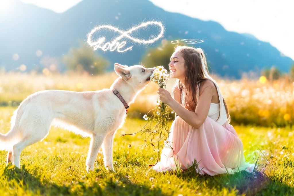 Alejandro Connor Photography | 1375 Cloudburst Dr, Whistler, BC V8E 0S1, Canada | Phone: (604) 905-9377