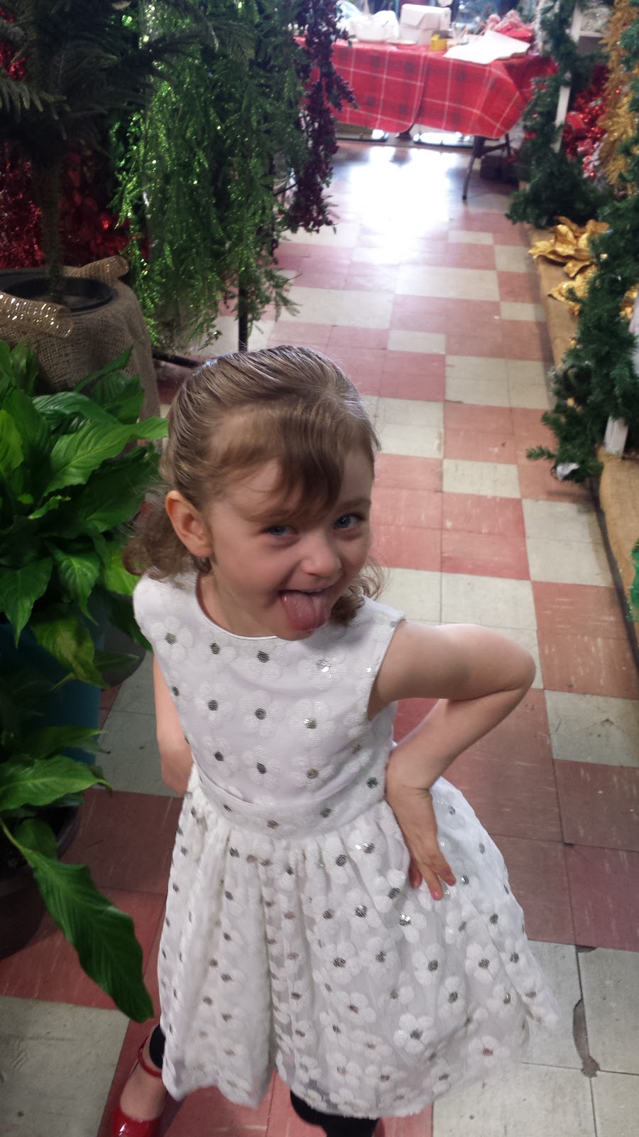 Norman’s Garden Gallery | 830 Yonge St, Midland, ON L4R 2E7, Canada | Phone: (705) 526-4361