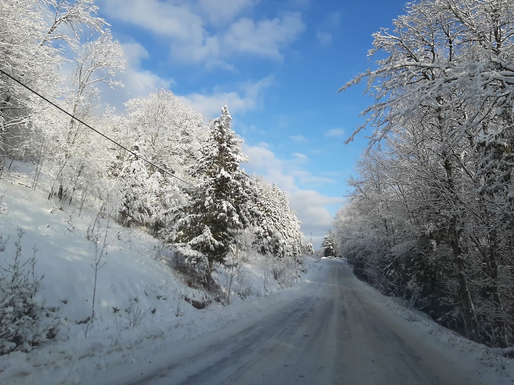 MOUNTAIN RIDGE FARMS | 274 Mountain St, Haliburton, ON K0M 1S0, Canada | Phone: (705) 457-0922