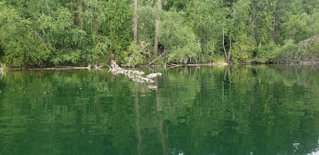 Fishing Spot At Gardom | Main Island, Columbia-Shuswap D, BC V0E, Columbia-Shuswap D, BC V0E, Canada | Phone: (250) 859-3464