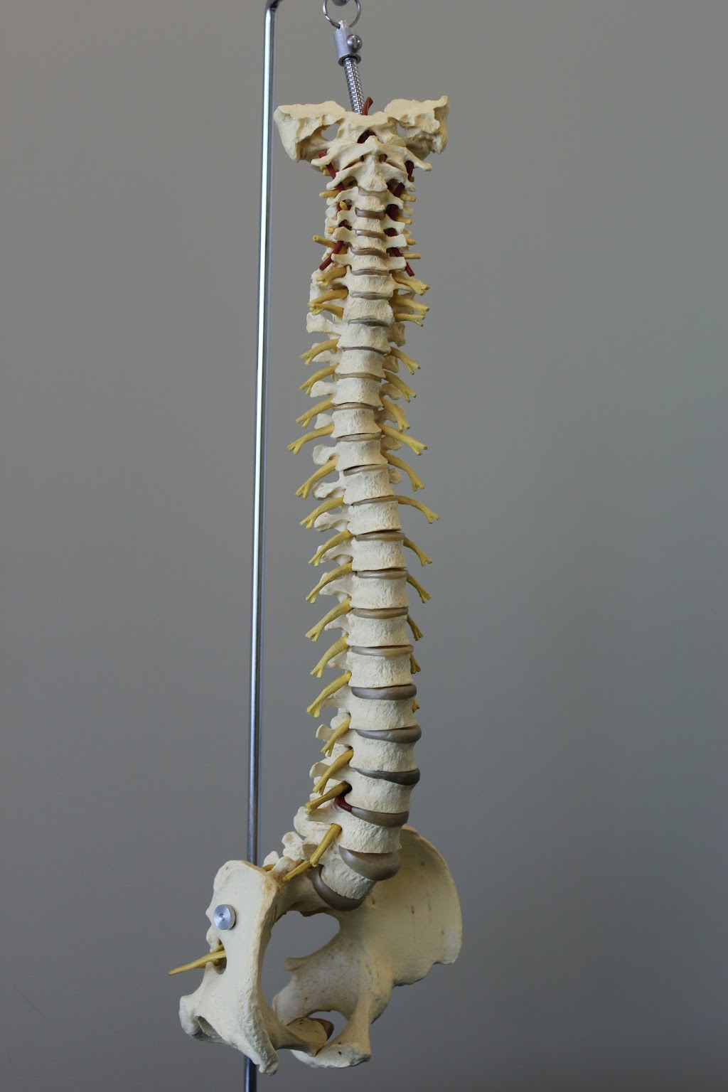Physio Outaouais | 499 Boulevard Labrosse #105, Gatineau, QC J8P 4R1, Canada | Phone: (819) 643-3337