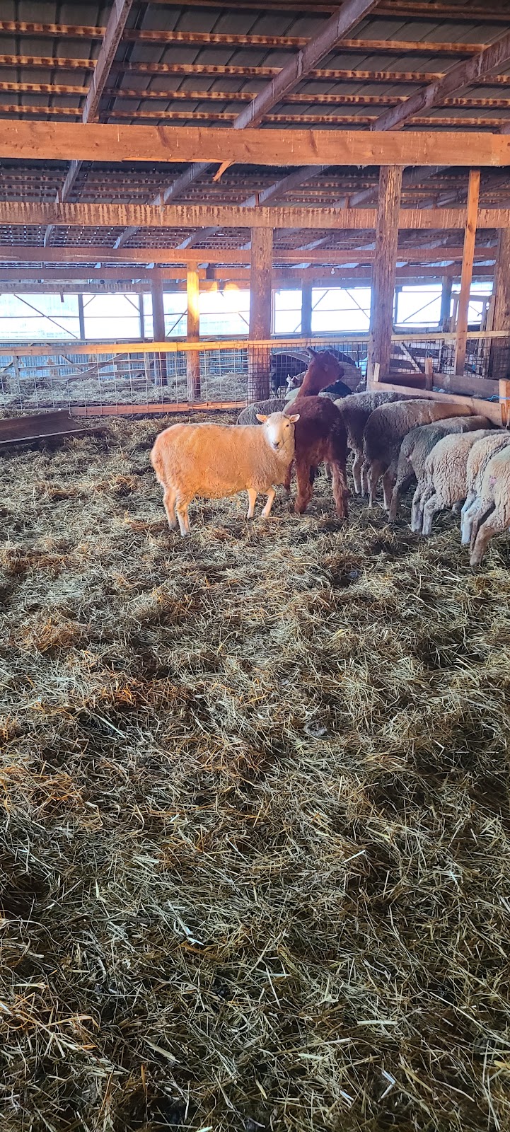 Tipsy Willow Farm | 2280 Blezard Line, Indian River, ON K0L 2B0, Canada | Phone: (613) 922-1606