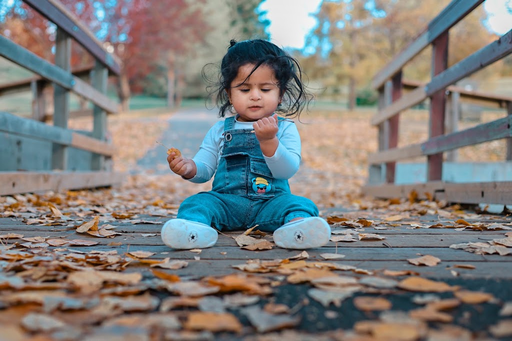 N & S Decorations and Photography | 41 Martinvalley Rd NE, Calgary, AB T3J 4L9, Canada | Phone: (825) 438-2730