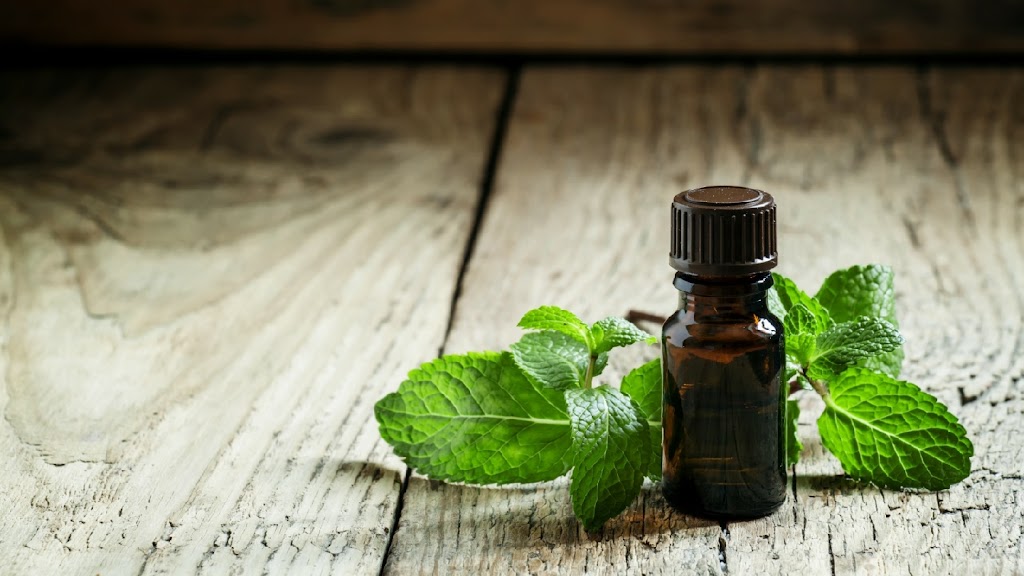 Cedars Wellness Clinic | 43A Riverview Crescent, Marmora, ON K0K 2M0, Canada | Phone: (613) 902-7662