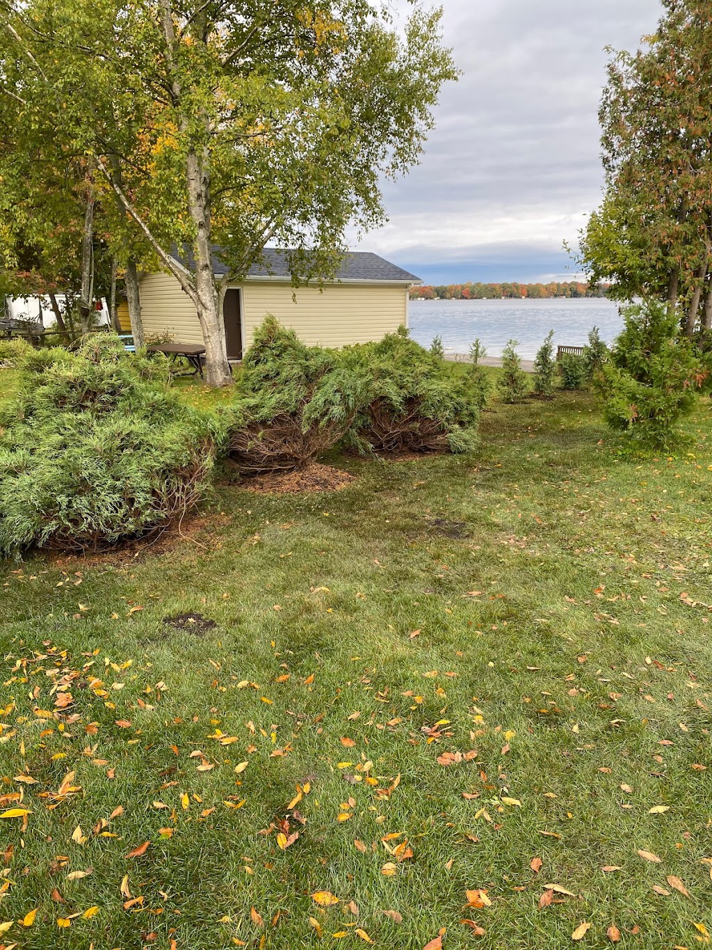 TEG Contracting | 121 King St, Woodville, ON K0M 2T0, Canada | Phone: (705) 464-0023
