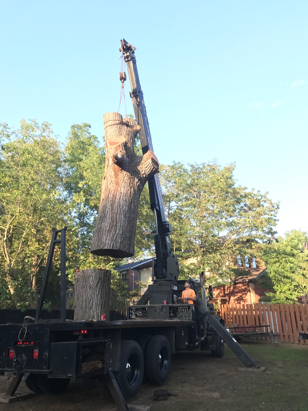 Kodiak Tree Services | 110 Sawmill Rd, Caledonia, ON N3W 2G9, Canada | Phone: (905) 648-5323