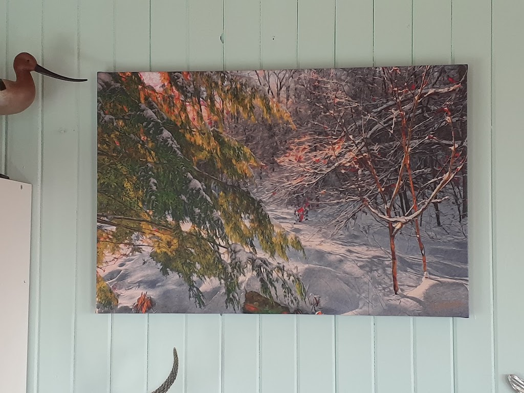 Daniel Richards Nova Scotia Art Gallery | 95 Montague St, Lunenburg, NS B0J 2C0, Canada | Phone: (902) 634-3117