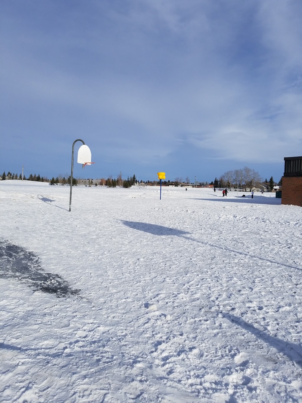 Roland Michener Elementary School | 5958 4 Ave NE, Calgary, AB T2A 4B1, Canada