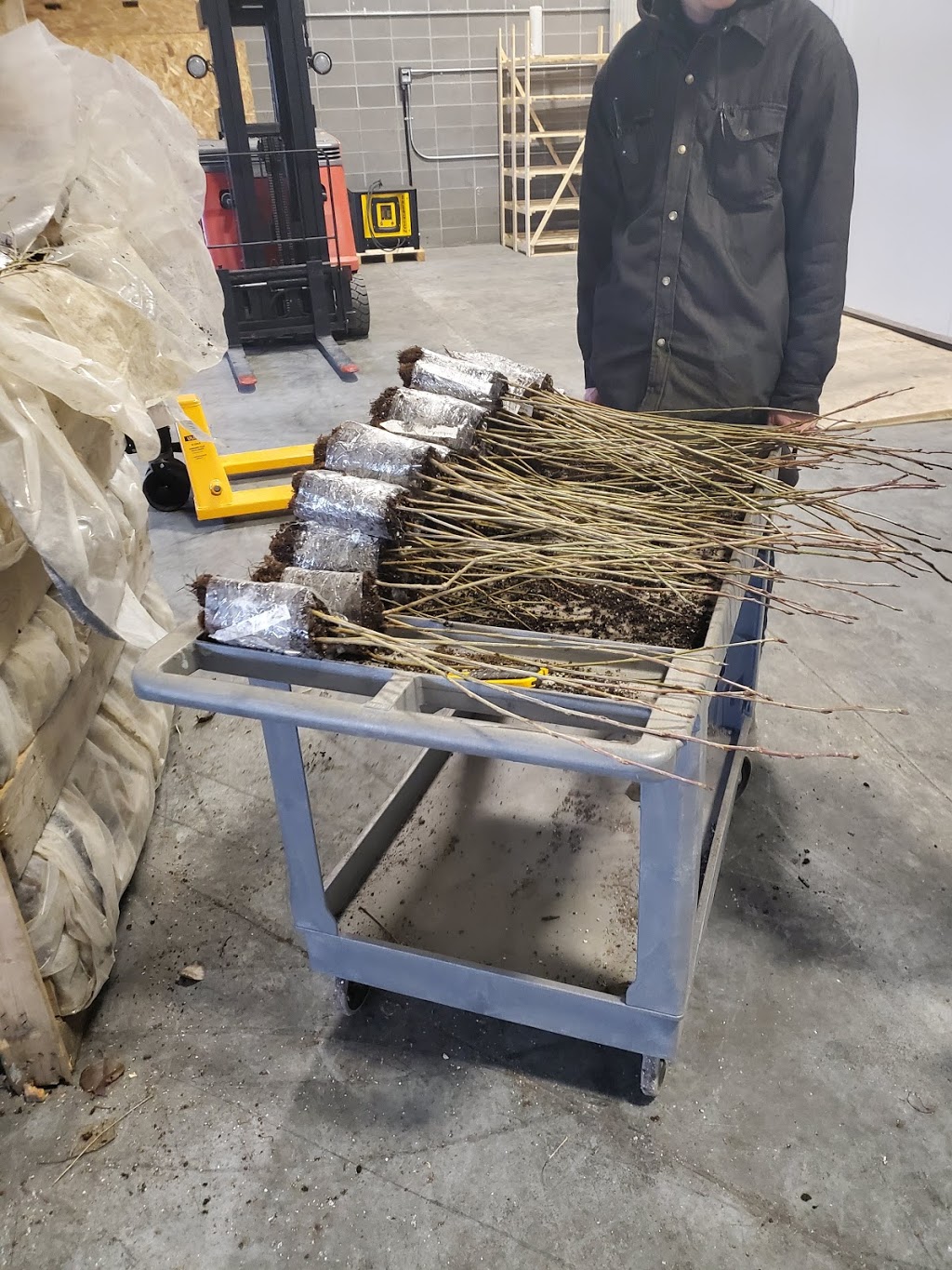 Tree Time Cold Storage | 4540 55 Ave NW, Edmonton, AB T6B 3S2, Canada | Phone: (587) 206-9500
