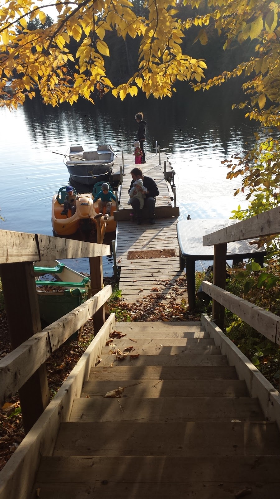 Chalet Riviere la lievre | 119 Chemin St Amour, Notre-Dame-du-Laus, QC J0X 2M0, Canada | Phone: (819) 454-2315