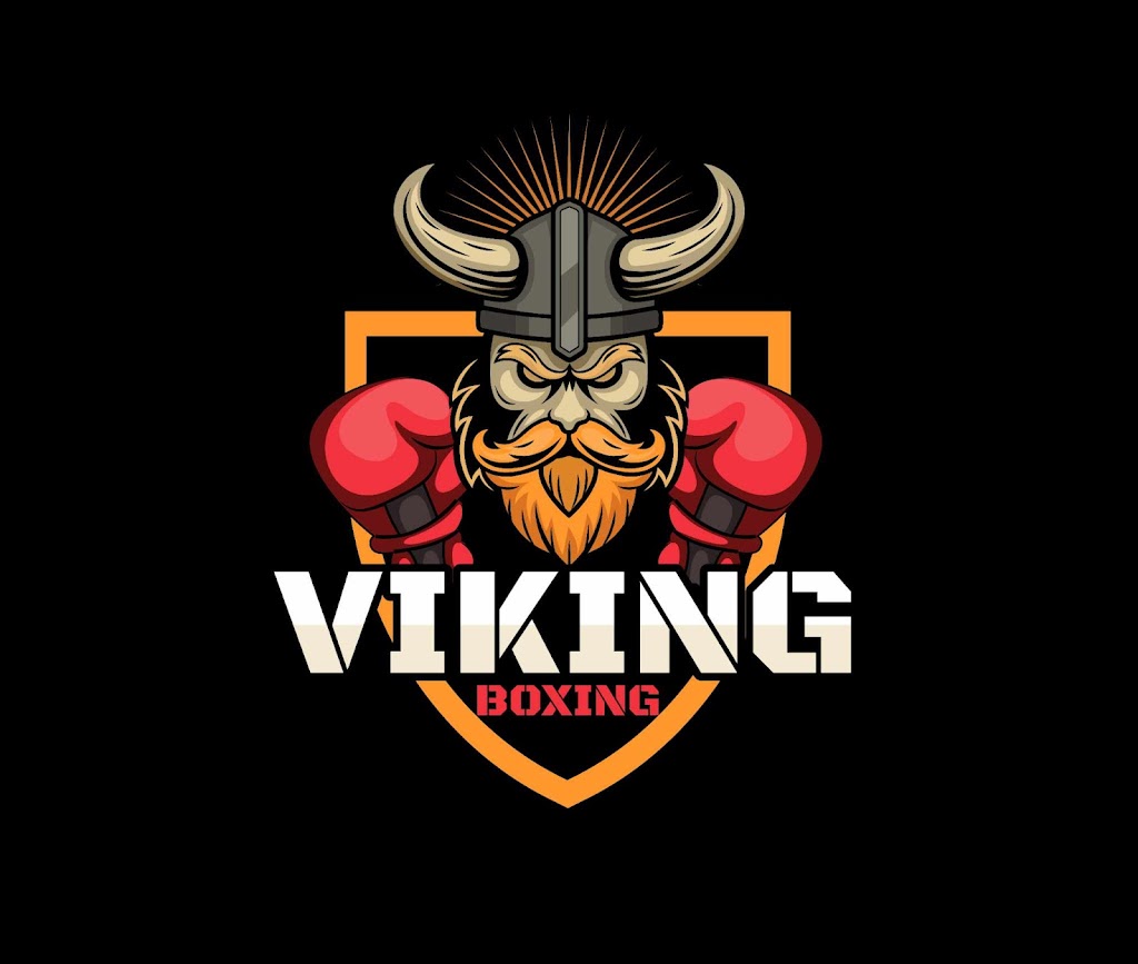 Club de Boxe Viking | 8920 Boul Langelier, Montréal, QC H1P 3C8, Canada | Phone: (514) 323-5911