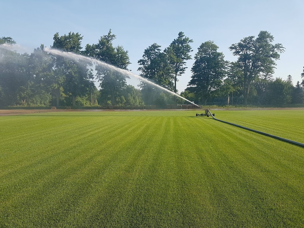 Brayford Sod Farm | 5761 County Rd 15, Alliston, ON L9R 1V9, Canada | Phone: (705) 435-7707