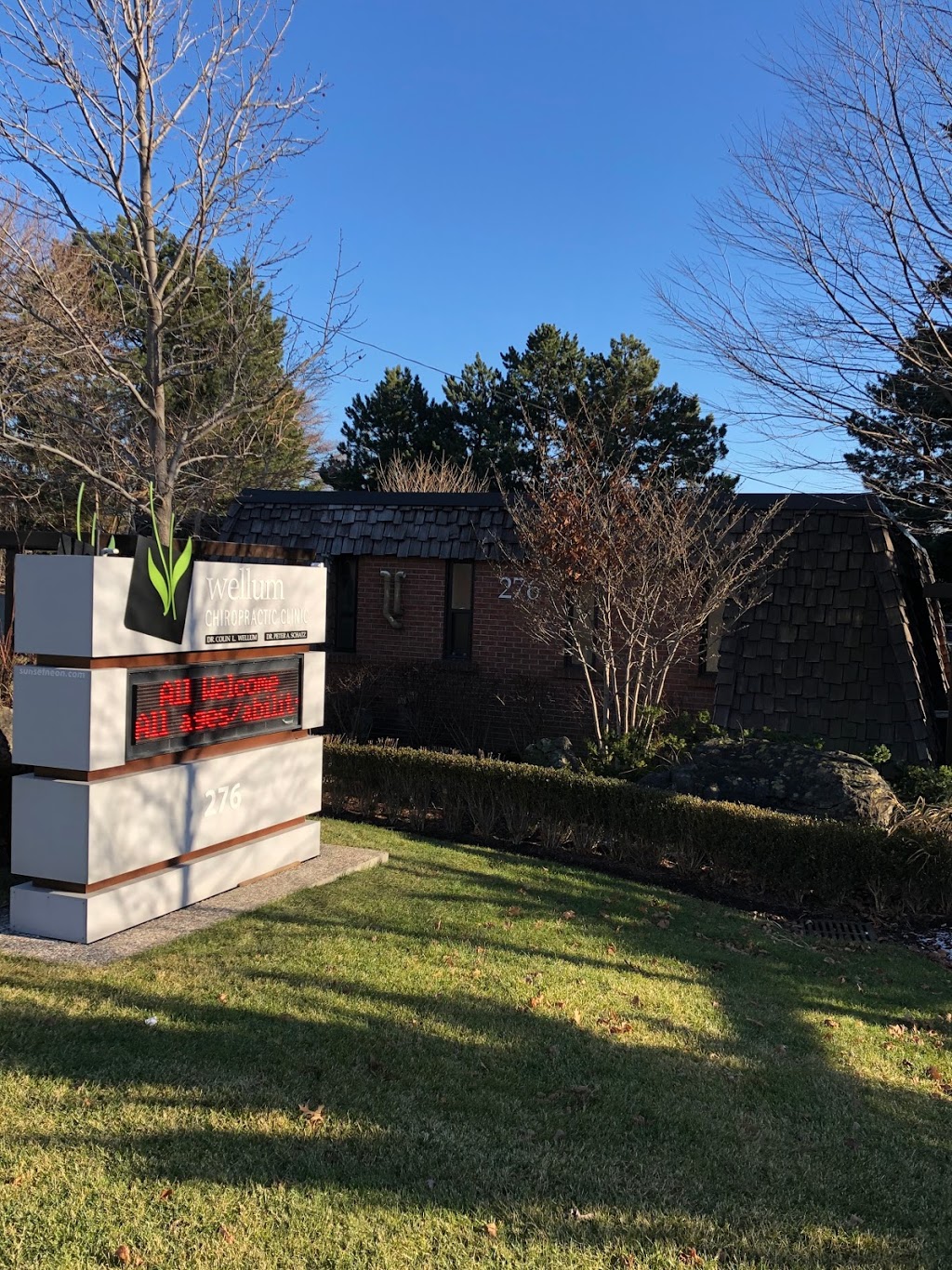 Wellum Chiropractic Clinic | 276 Plains Rd E, Burlington, ON L7T 2C6, Canada | Phone: (905) 634-9535