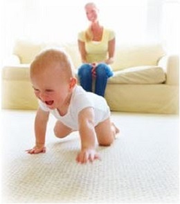 Sherwood Park Carpet Cleaning | 688 Wye Rd Unit # 92543, Sherwood Park, AB T8A 3X4, Canada | Phone: (780) 809-4551