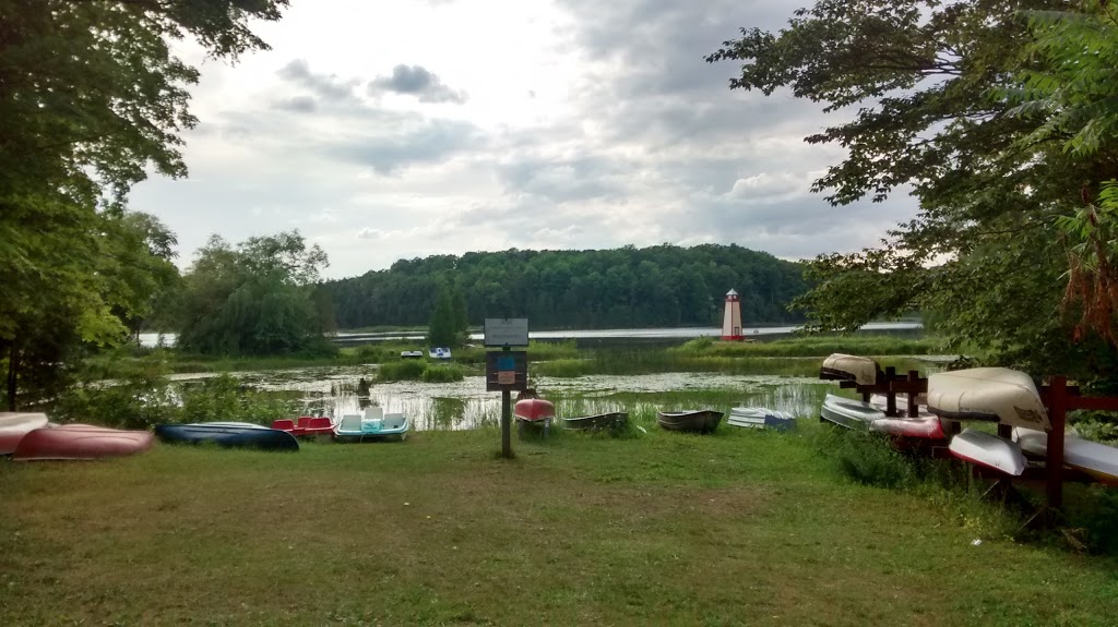 Driftwood Beach Park | 90856 Driftwood Beach Rd, Clifford, ON N0G 1M0, Canada | Phone: (519) 327-8536