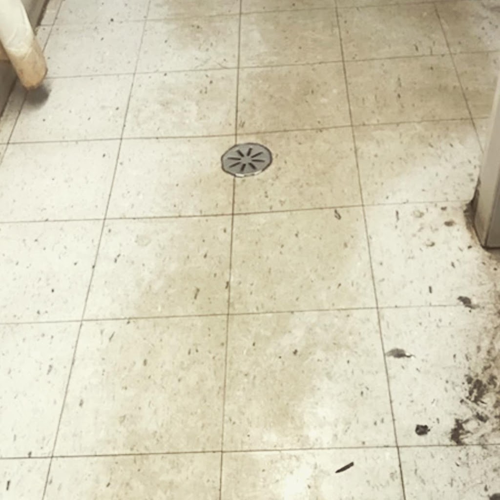 MQN Janitorial Cleaning | 1474 Evans Blvd, London, ON N6M 0A8, Canada | Phone: (226) 224-9403