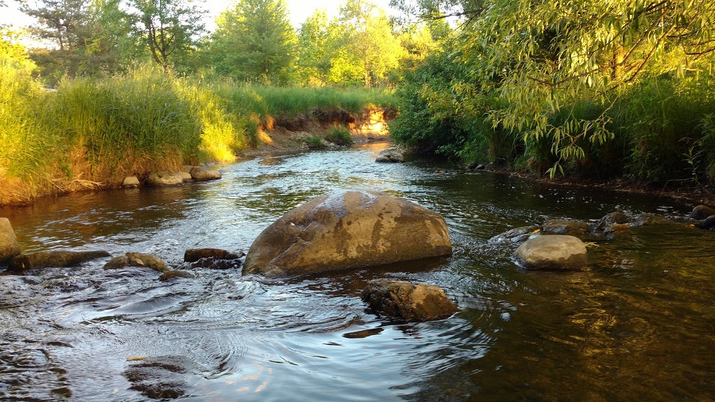 University of Waterloo Environmental Reserve | Trans Canada Trail, Waterloo, ON N2L 0A1, Canada | Phone: (519) 888-4567