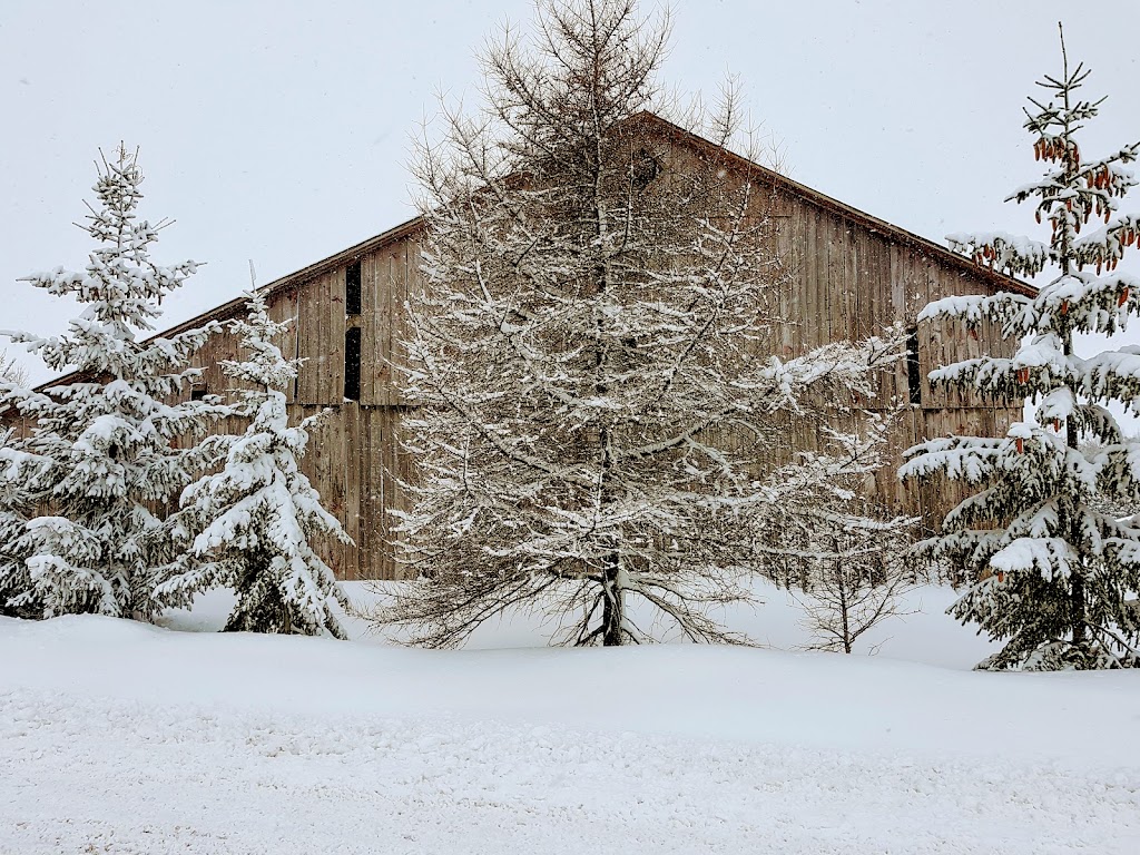 Terrain municipale - Saint-Roch-Ouest | 270 QC-125, Saint-Roch-de-lAchigan, QC J0K 3H0, Canada | Phone: (450) 588-6060