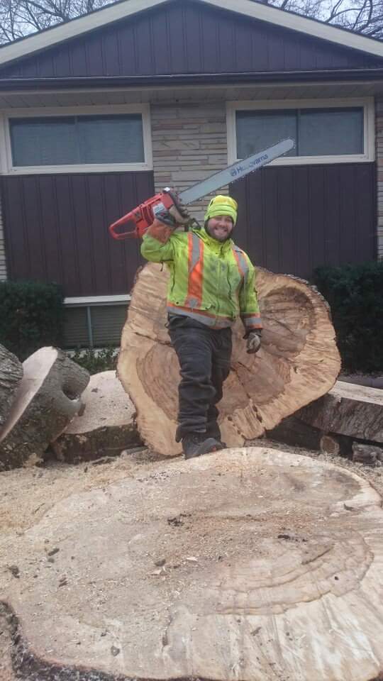 Tobys Tree Service | 81 McVeigh Dr, Barrie, ON L4N 7E4, Canada | Phone: (705) 791-6052