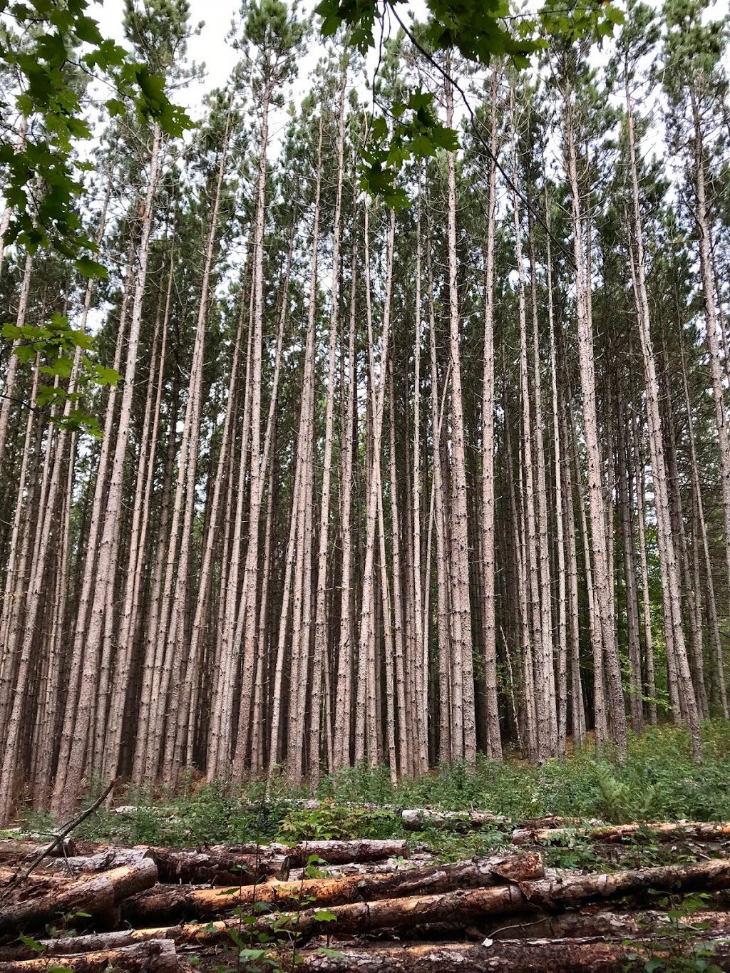 Granite Ridge Trail | Killarney, ON P0M, Canada | Phone: (705) 287-2900