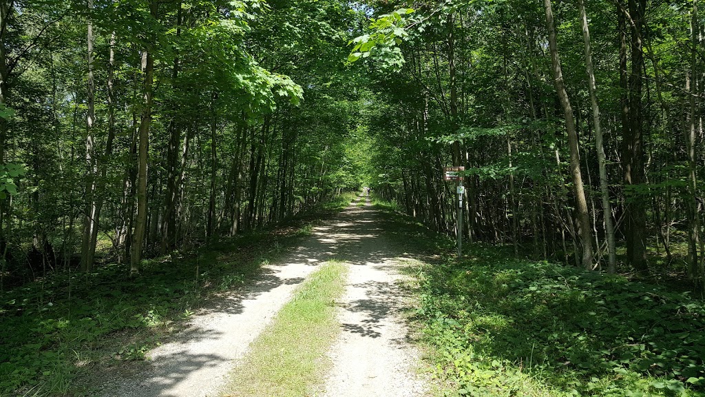 Cambridge to Paris Rail Trail - Cambridge Trailhead | 210 Water St S, Cambridge, ON N1R 5S6, Canada | Phone: (519) 621-2761