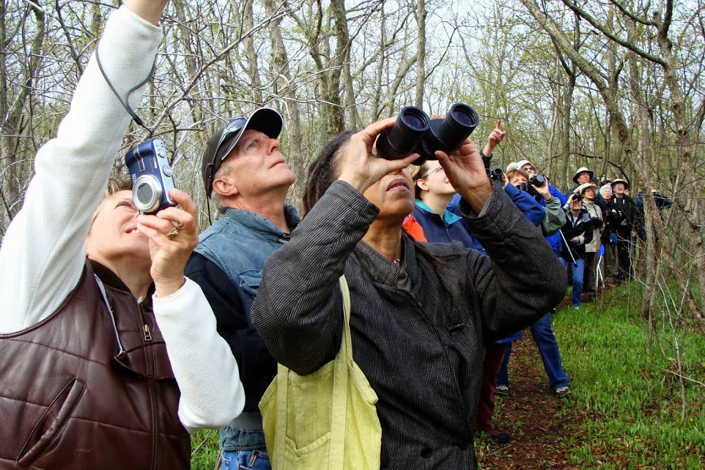 Nature Stuff | 23 Sprague Rd, Demorestville, ON K0K 1W0, Canada | Phone: (613) 848-4549