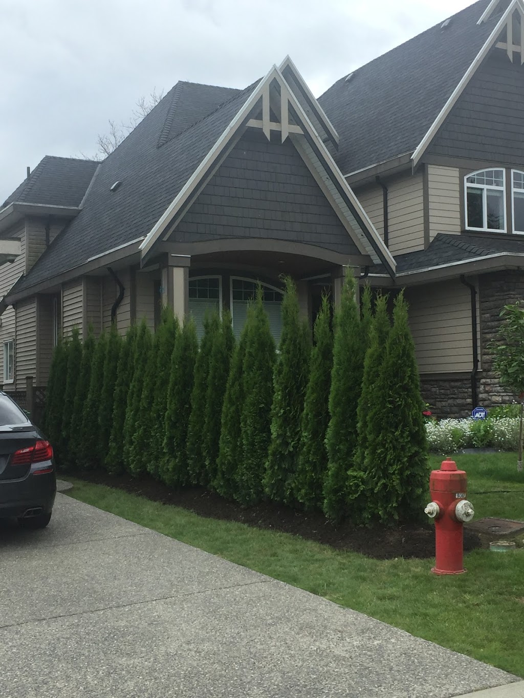My Fraser green landscaping ltd | 3983 Paradise Pl, Abbotsford, BC V2S 8E3, Canada | Phone: (604) 825-3175