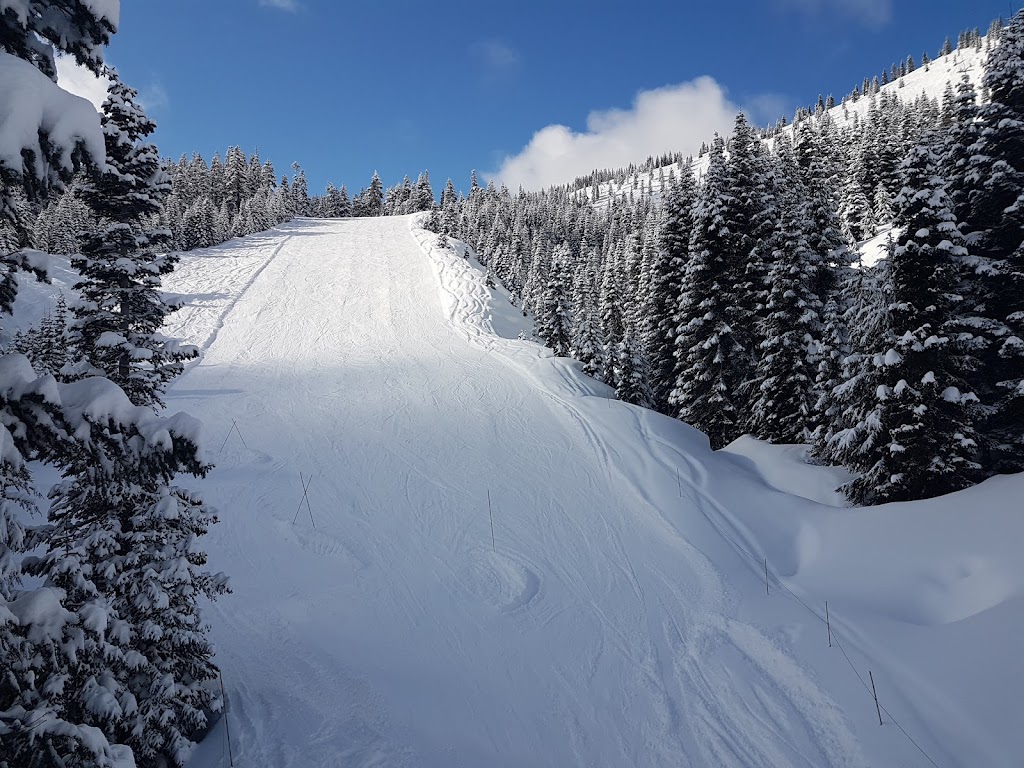 Sasquatch Mountain Resort | 20955 Hemlock Valley Rd, Agassiz, BC V0M 1A1, Canada | Phone: (604) 797-4411