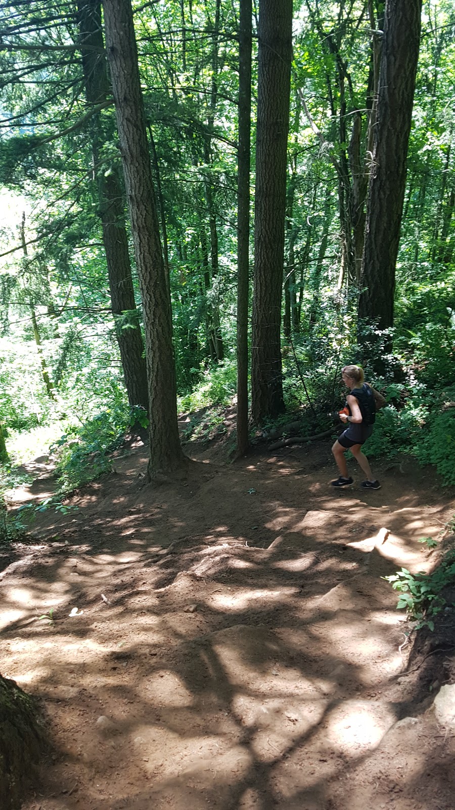 The abby grind | Lakemount Rd, Abbotsford, BC V3G 2T2, Canada