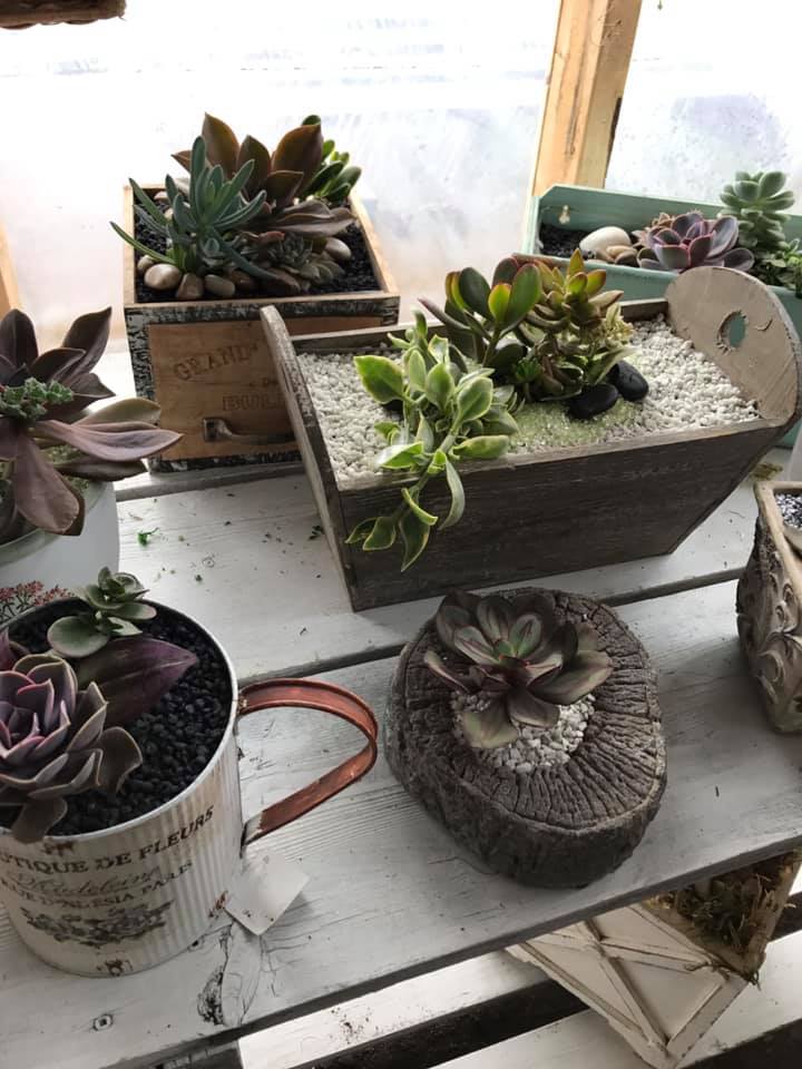 Cedar Ridge Greenhouse | Box 130, Saint Benedict, SK S0K 3T0, Canada | Phone: (306) 231-9081