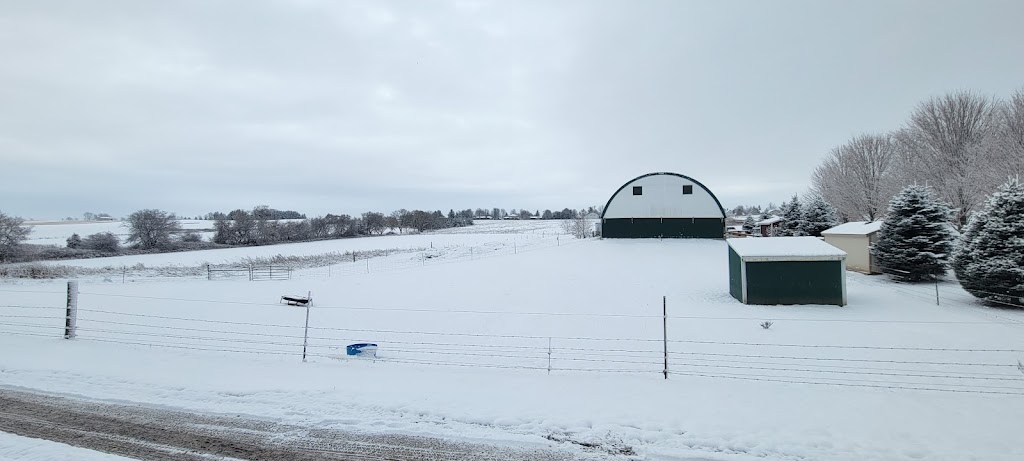 Elzeini Farm | 3810 Elgin Rd, Thames Centre, ON N0L 1V0, Canada | Phone: (519) 281-7601