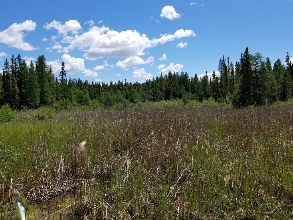 Wagner Natural Area | 30531 118 Ave., Acheson, AB T7X 6M5, Canada