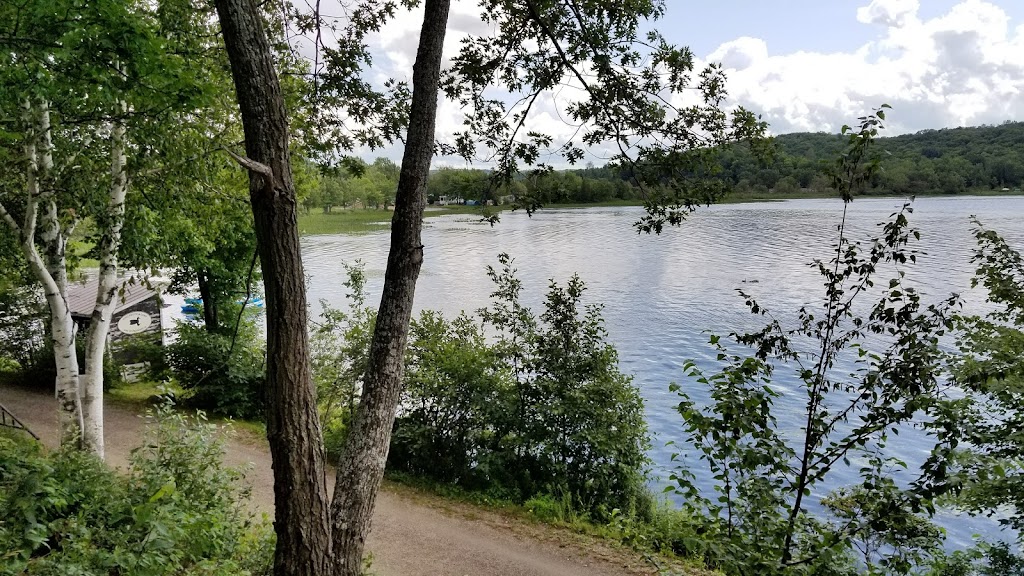 Birchwood Camp | 422 Lakeview Dr E, Burks Falls, ON P0A 1C0, Canada | Phone: (705) 382-5733
