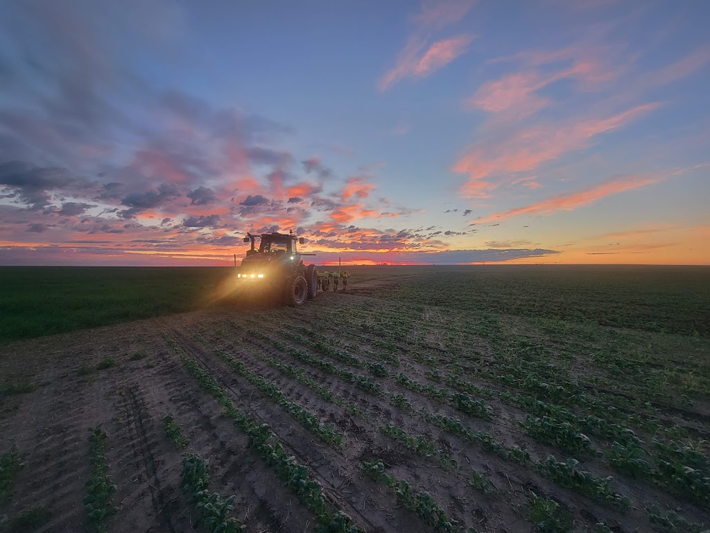 Cameron Farms | Taber, AB T0K 2H0, Canada | Phone: (403) 359-5115