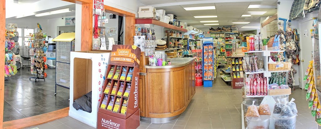 Animalerie LAmi Idéal | 768 Rue de St Jovite, Mont-Tremblant, QC J8E 3J8, Canada | Phone: (819) 425-2320