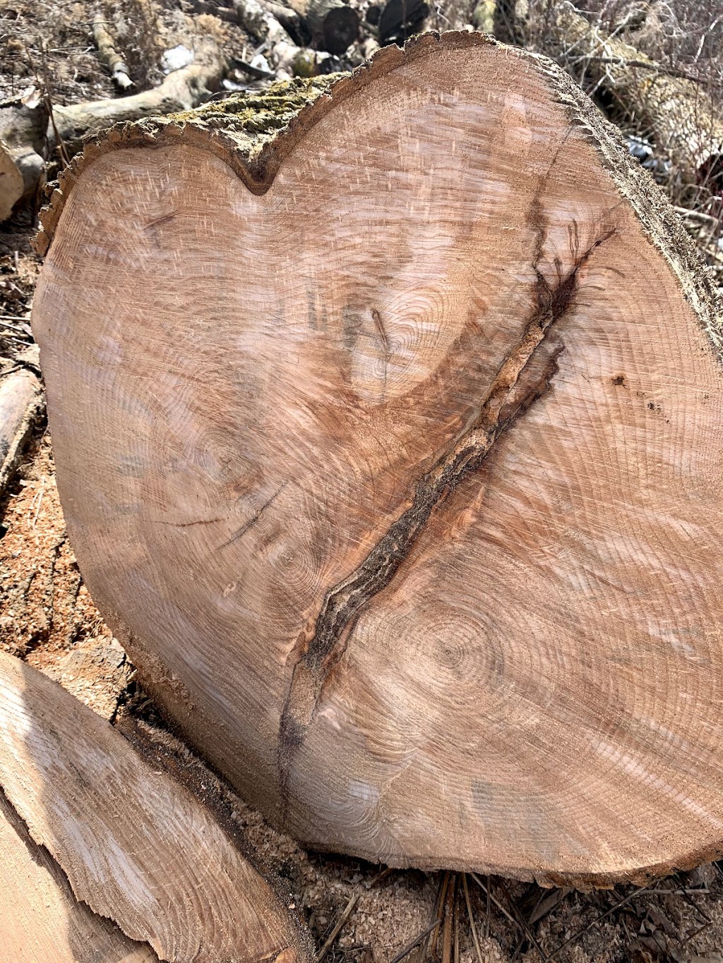 Wiebe Maple Products | 2955 Perth Rd 163, Fullarton, ON N0K 1H0, Canada | Phone: (519) 229-6570