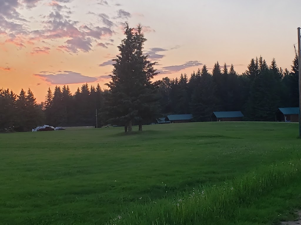 Teen Time Ranch | Range Road 253 Division No 13, Dapp, AB T0G 0S0, Canada | Phone: (780) 954-2432