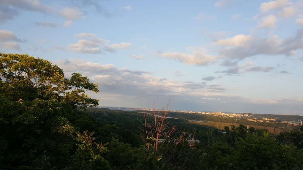Claras Climb | 235 Sydenham Rd, Millgrove, ON L0R 1V0, Canada