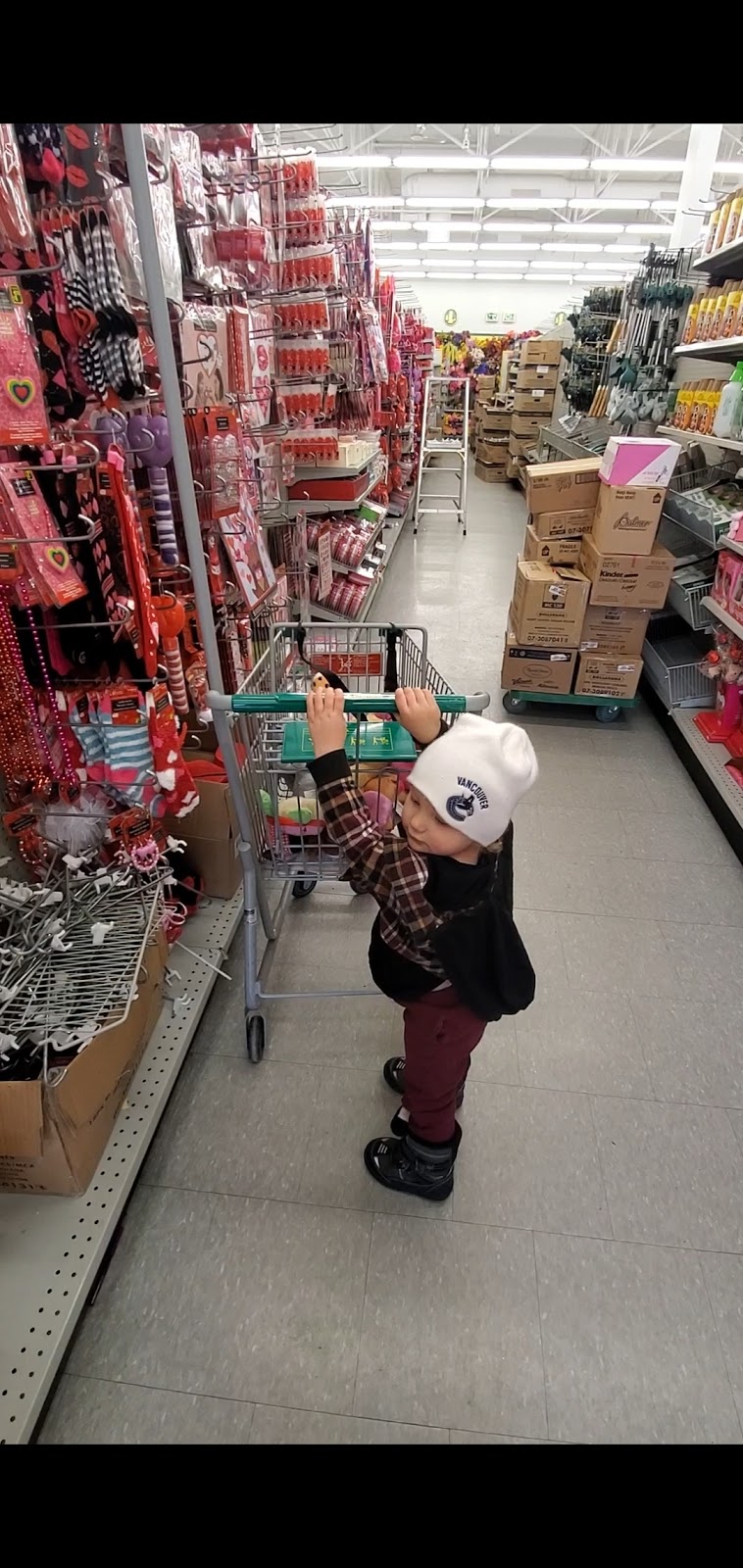 Dollarama | Trenant Park, 5265 Ladner Trunk Rd, Delta, BC V4K 1W4, Canada | Phone: (604) 940-3802