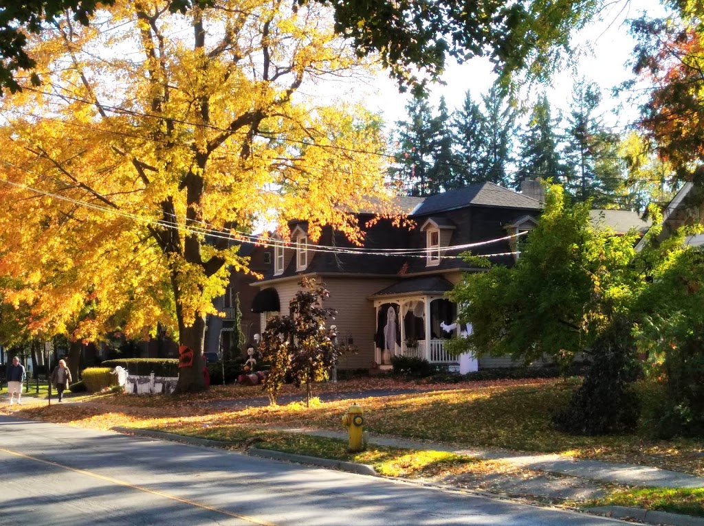 Waterford Pumpkin Festival Inc | 76 Main St S, Waterford, ON N0E 1Y0, Canada | Phone: (519) 443-4944