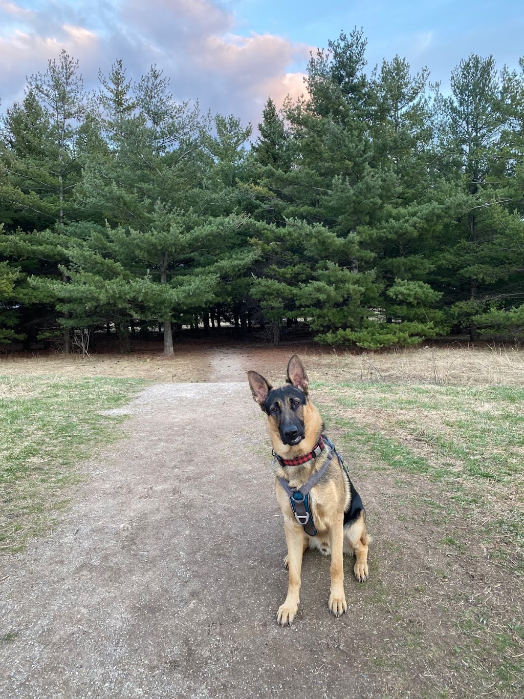 Bronte Creek Leash-free Dog Park | 1100 Burloak Dr, Burlington, ON L7L 6B2, Canada | Phone: (905) 827-6911